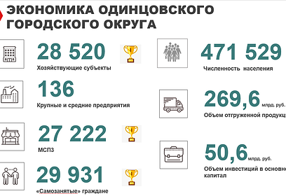 Одинцовские предприниматели оставили 47 обращений в Центре управления регионом «Бизнес»