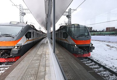 В Московской области применяется несколько видов мер для борьбы со смертностью на железной дороге