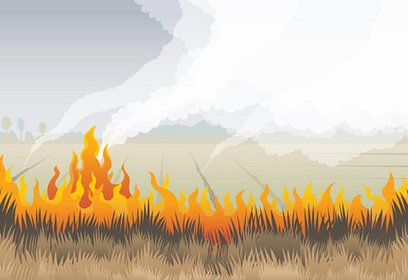 Жителей и гостей Одинцовского округа напомнили об опасности пала травы и пожарной безопасности на дачах