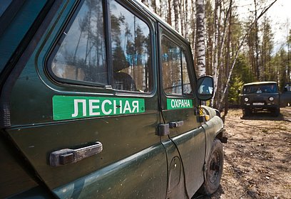 В лесах Подмосковья 10 апреля стартует Мероприятие по пожарной безопасности «Смежник»
