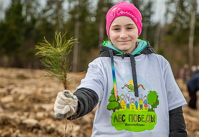 В Одинцовском округе 13 мая пройдет эколого-патриотическая акция «Лес Победы»