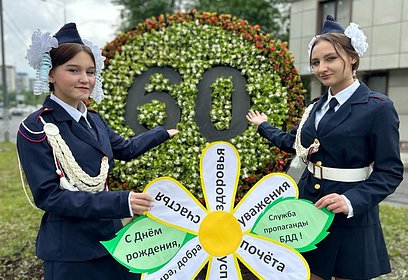 В Одинцовском округе появился необычный знак дорожного движения «Ограничение скорости — 60»