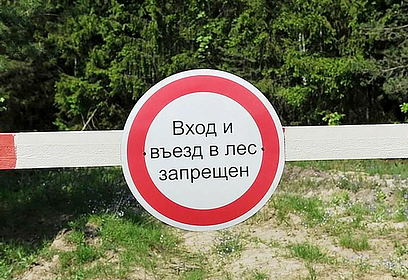 В Московской области в период с 16 по 19 июня ограничивается пребывание граждан в лесах