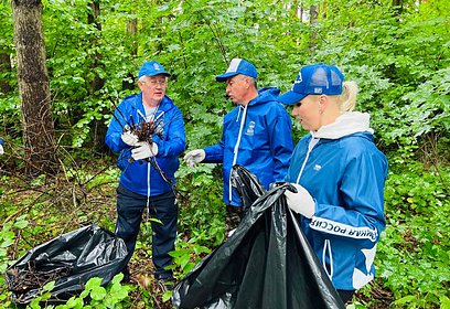Одинцовские партийцы приняли участие в акции «Чистый лес» в поселке Зайцево
