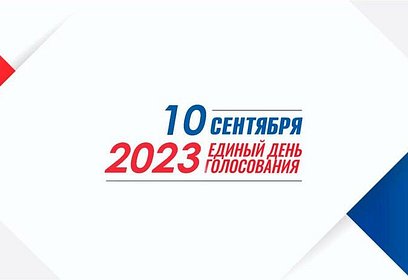 Выборы губернатора Московской области — 2023: как проголосовать