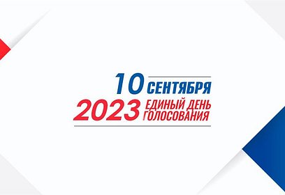В Одинцовском округе выборы губернатора Московской области пройдут сразу в 174 избирательных участках