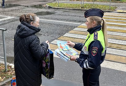 В Одинцовском городском округе автоинспекторы провели акцию «Засветись»