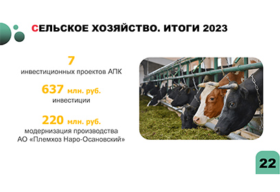 На территории Одинцовского округа в 2023 году было реализовано 7 инвестиционных проектов
