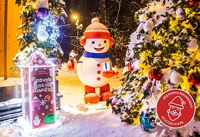 Парки Одинцовского округа стали победителями областного конкурса «Дед Мороз рекомендует»