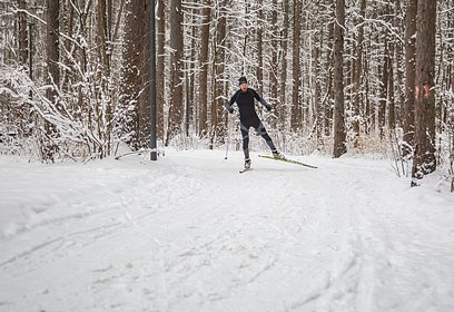 Лыжные соревнования пройдут в парке Малевича 18 февраля
