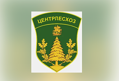 ГАУ МО «Центрлесхоз» ведёт набор сотрудников для работы в Одинцовском округе — на ЛПС-1 «Голицыно»