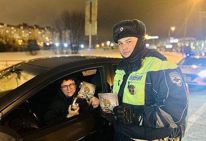 На территории Одинцовского городского округа проведен профилактический рейд «Нетрезвый водитель»