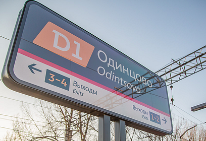Транспортные полицейские выявили на железнодорожной станции «Одинцово» 7 нелегальных мигрантов