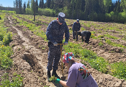 Сотрудники Одинцовского отдела вневедомственной охраны присоединились к акции «Посади лес»