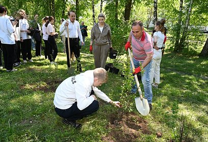 В Одинцовском округе на аллее «Маленькие герои большой войны» высадили 300 саженцев деревьев