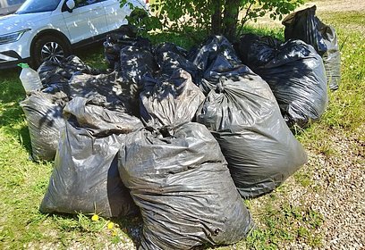Береговую линию в Одинцовском округе очистили от 20 тысяч литров мусора
