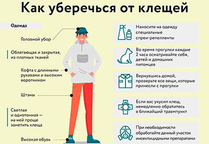 Жителей Одинцовского округа информируют о правилах защиты от клещей