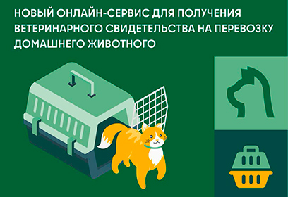 Жители Одинцовского округа могут оформить документ на перевозку животных онлайн