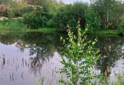 В Одинцовском округе ликвидировали пересечение частного земельного участка с водоохранной зоной реки Малая Вязёмка