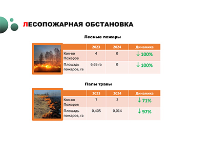 В Одинцовском округе продолжается видеомониторинг лесопожарной обстановки