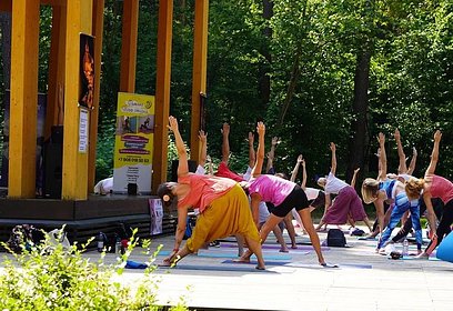 В Одинцовском округе 3 августа в парке Раздолье пройдет ежегодный Фестиваль йоги