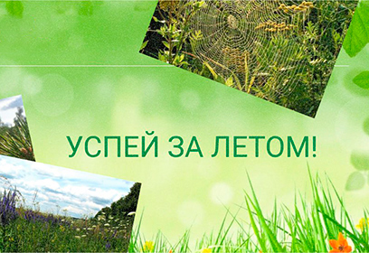 Жителей Одинцовского округа приглашают принять участие в фотоконкурсе «Успей за летом»