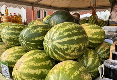 Необычные сорта арбузов смогут попробовать жители Одинцовского округа