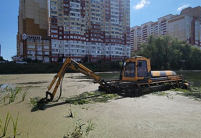 Очистка пруда в селе Юдино завершится до конца лета