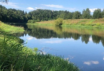 Установлена охранная зона одинцовского памятника природы