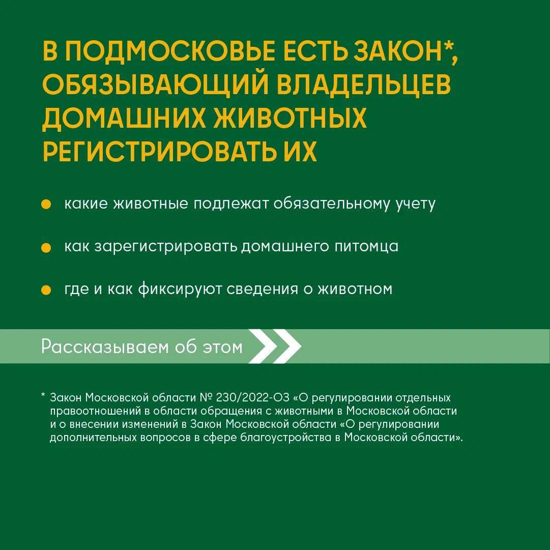 Регистрируем домашнее животное в Подмосковье. Узнайте, для кого регистрация обязательна и для чего она нужна