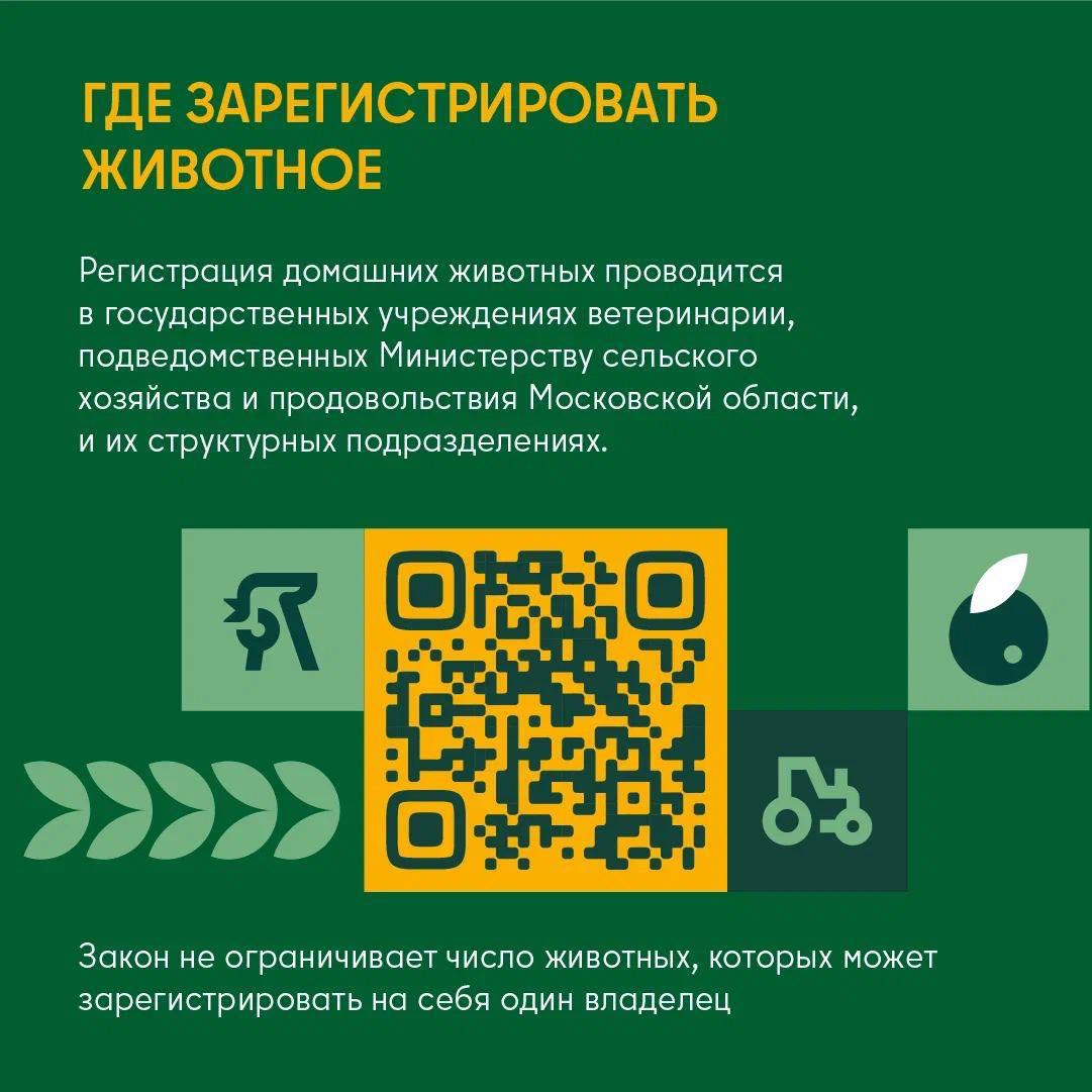 Регистрируем домашнее животное в Подмосковье. Узнайте, для кого регистрация обязательна и для чего она нужна