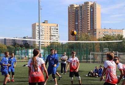 Фестиваль волейбола прошел в Одинцово