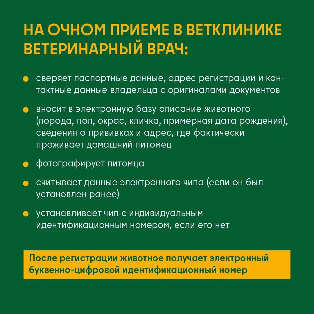 Регистрируем домашнее животное в Подмосковье. Узнайте, для кого регистрация обязательна и для чего она нужна