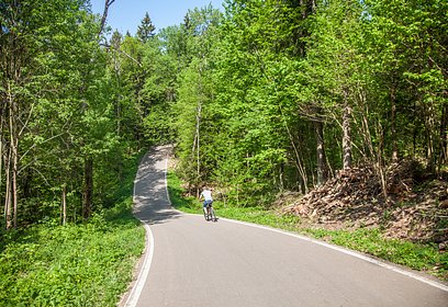 День народного единства отметят в парке имени Ларисы Лазутиной