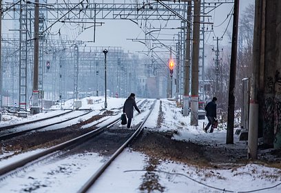 В Одинцовском округе в 2024 году фиксируется снижение количества погибших на железной дороге