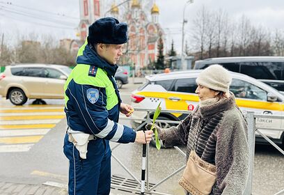 Автоинспекторы напомнили пожилым жителям Одинцово правила поведения на дороге