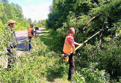 Аварийные деревья убрали вдоль дорог в Одинцовском округе