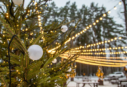 День Матери отметят в Одинцовском парке культуры, спорта и отдыха 30 ноября