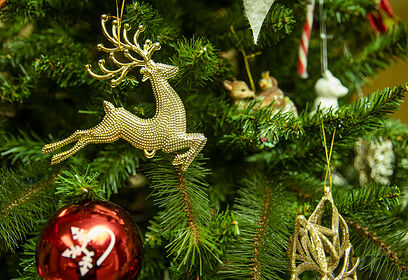 Открытие «Зимнего фестиваля» в парке «Патриот» пройдет 20 декабря