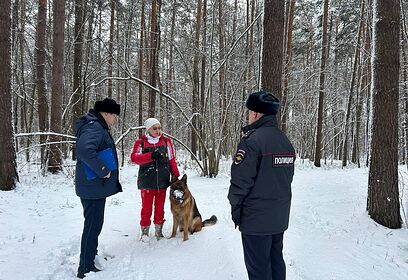 Сотрудники одинцовской полиции в 2025 году выявили 25 нарушений правил выгула собак в общественных местах