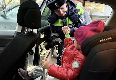Сотрудники Одинцовской Госавтоинспекции провели профилактический рейд «Детское кресло»