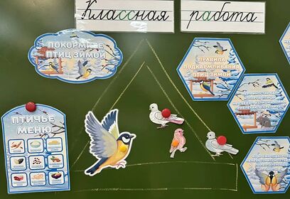 Мероприятие «Покормите птиц зимой!» провели для учеников Одинцовского лицея № 6