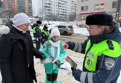 В Одинцовском округе проводится профилактическое мероприятие «Пешеход»