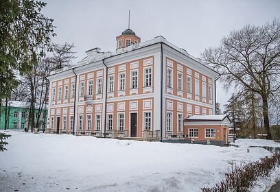 Лекция о детстве Пушкина прошла в Детском центре усадьбы Вяземы