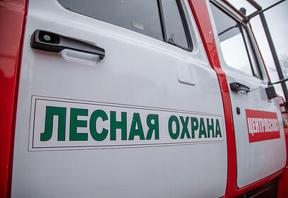 В лесах Одинцовского округа с 20 марта начался пожароопасный сезон