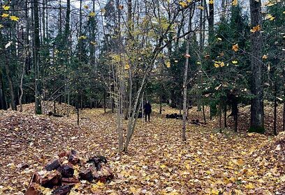 В Одинцово утвердили границы курганного могильника XI-XIII веков