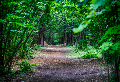 В Одинцовском округе 18 апреля ожидается II класс пожарной опасности