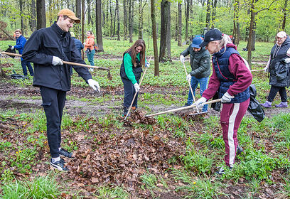 В Одинцовском округе 25 апреля предусмотрено 43 места проведения Всероссийского субботника