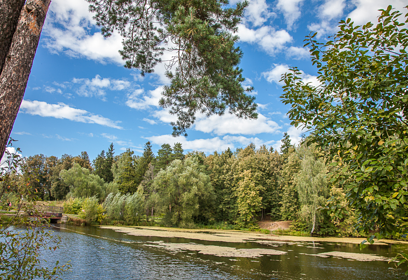 Всероссийская акция «Вода России» пройдёт в Одинцовском округе на 17 водных объектах