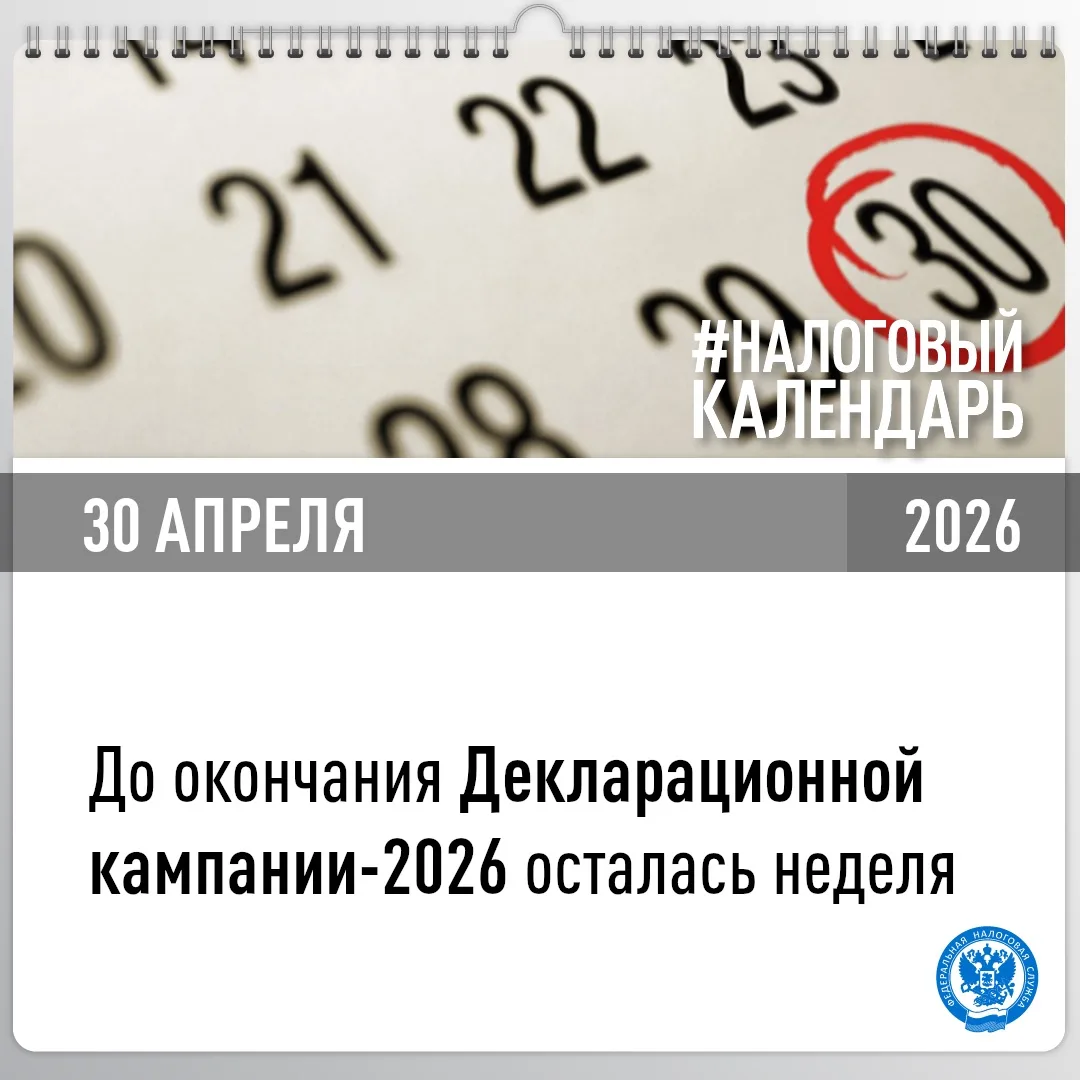 Декларационная кампания